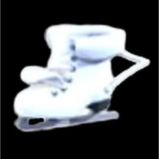 ice skate stroller