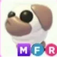 MFR snowball pug