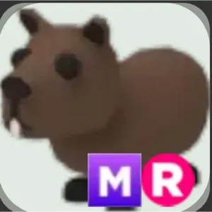 mr capybara