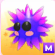 mega urchin