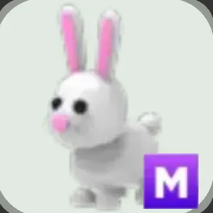 mega bunny