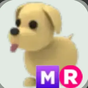 mr dog