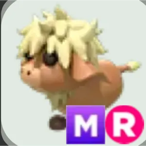 MR highland cow