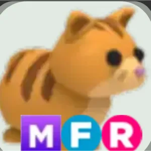 MFR ginger cat