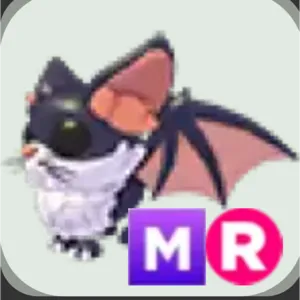 mr kitty bat