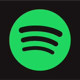 Spotify individual 12 months subscription.