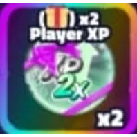 2x exp gamepass