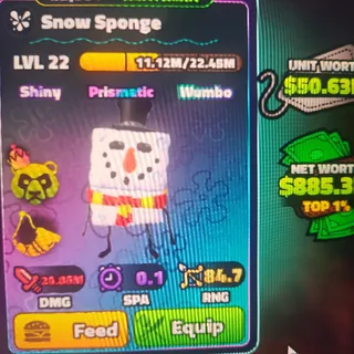 SW SNOW SPONGE 