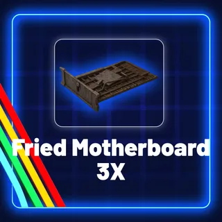 Fried Motherboard