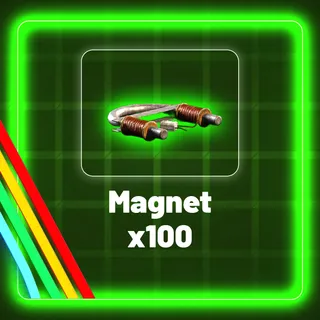 Magnet