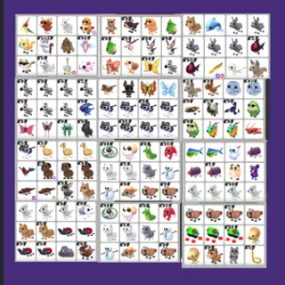 adopt me bundle