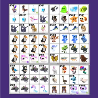 adopt me bundle