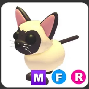 MFR Siamese Cat
