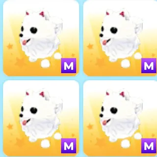 4x|Mega Samoyed