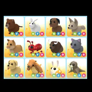 12x|NFR PET BUNDLE