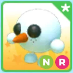 NR SnowBall Pet