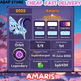 AMARIS GEN 1 2022 | DRAGON ADVENTURES