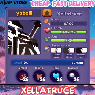 XELLATRUCE | DRAGON ADVENTURES