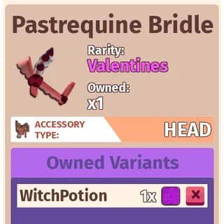 Pastrequine Bridle - Horse Life