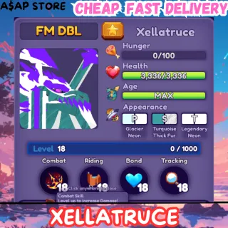 XELLATRUCE | DRAGON ADVENTURES