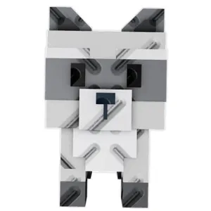 Raccoon