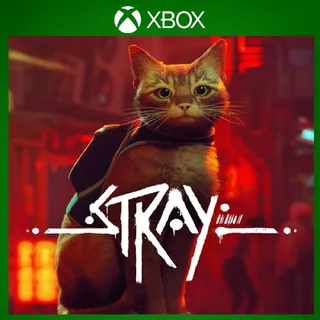 Stray ⚡️ [𝐅𝐀𝐒𝐓 𝐃𝐄𝐋𝐈𝐕𝐄𝐑𝐘] ⚡️