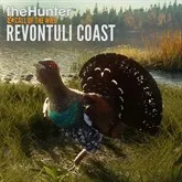 theHunter: Call of the Wild™ - Revontuli Coast 