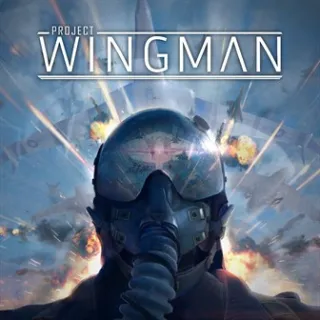 Project Wingman  ⚡️ [𝐅𝐀𝐒𝐓 𝐃𝐄𝐋𝐈𝐕𝐄𝐑𝐘] ⚡️