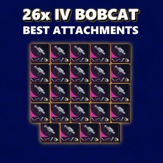 26x IV BOBCAT