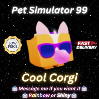 Cool Corgi