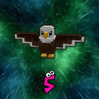 Bald Eagle