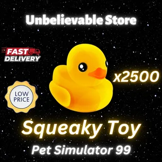 2500x Squeaky Toy