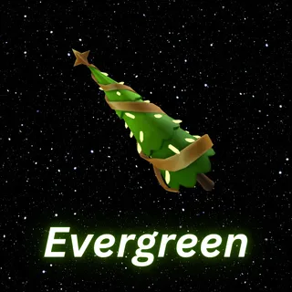 Evergreen