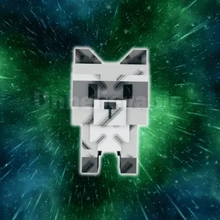 Raccoon