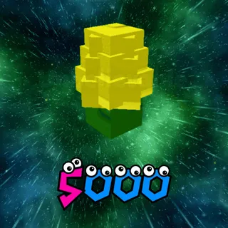Corn Seed