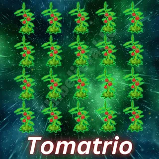 Tomatrio