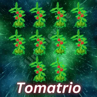 Tomatrio