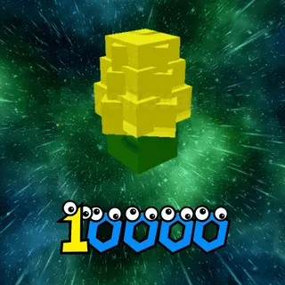 Corn Seed
