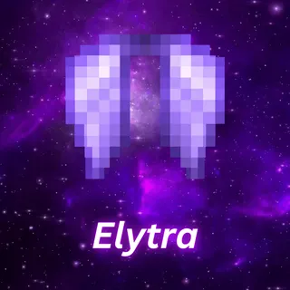 Elytra Donut smp