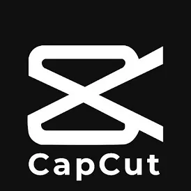 Capcut Pro Account _2 device access (12Month) 