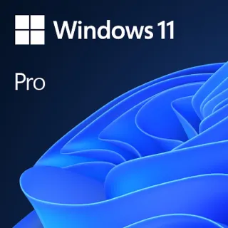 windows 10 OEM pro