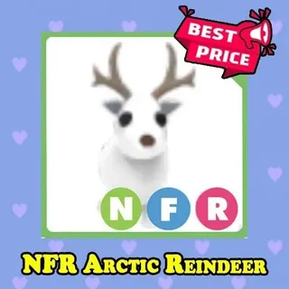 NFR arctic reindeer