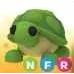 NFR Turtle