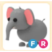FR Elephant (SALE)