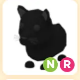 NR black panther (SALE)