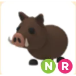 NR Wild boar (SALE)