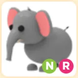 NR Elephant (SALE)