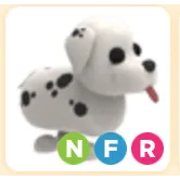 NFR Dalmatian (SALE)