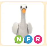 NFR Swan (SALE)