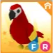 FR parrot